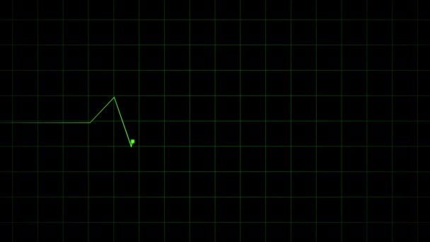 Heartbeat Display Monitor Motion Graphics — Stock Video