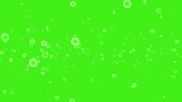 Pływające Pęcherzyki Wody Zielony Ekran Ruchu Grafiki — Wideo stockowe