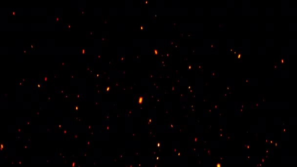 Kırmızı Parçacıkları Ateş Arkaplanı Altın Parçacık Arkaplanı — Stok video