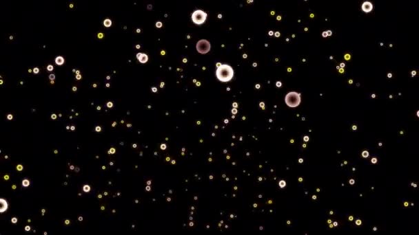 Buborékok Fekete Háttérrel Háttérnek — Stock videók