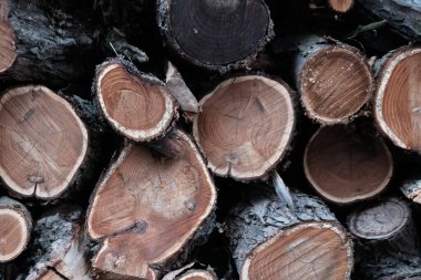 Odun yığını, yaklaşın.