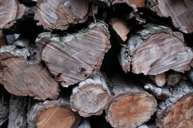 Şöminede odun var..