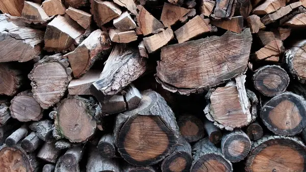 Moda düz ahşap doğal Boyutlanmış günlükleri closeup için arka plan veya soyutlama yatıyordu fotoğraf. kış bahar bakış günlüklerinin ağaçlar farklı türde