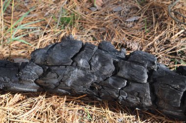 eski ahşap doku, arkaplan, doku