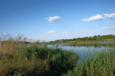 Yazın Güneş Panelleri ve Gölet 'li Kırsal Manzara. Bu fotoğraf, uzun otlar ve sazlıklarla çevrili sakin bir gölet içeren huzurlu bir kırsal alan yakalar. Arka planda, evleri olan küçük bir köy ve sıra sıra güneş panelleri görülebiliyor. 