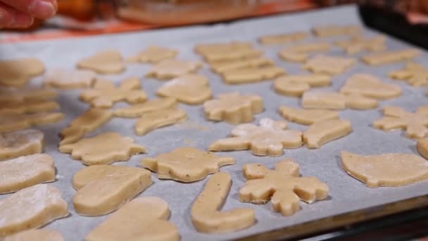 Przycięty Widok Kucharzy Ręce Wprowadzenie Rzeźbione Ciasteczka Ciasta Blasze Pieczenia — Wideo stockowe