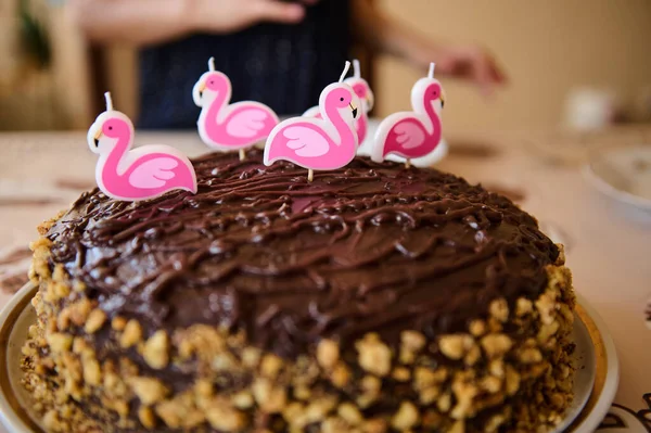 Homemade delicious birthday cake with nuts, decorated with chocolate icing and five flamingo candles. Festive baking. Confectionery Bakery. Close-up. Selective focus