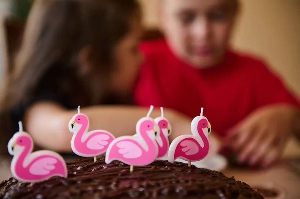 选择性地专注于粉色火烈鸟蜡烛 专注于有巧克力糖霜和坚果的生日蛋糕 专注于由迷人多样的孩子组成的模糊背景 专注于生日聚会上的乐趣 周年纪念日 — 图库照片