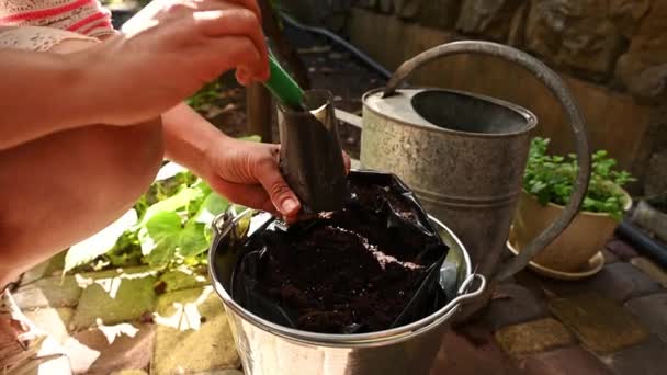 Close Hand Female Gardener Using Garden Shovel Pours Fertile Black — Vídeos de Stock