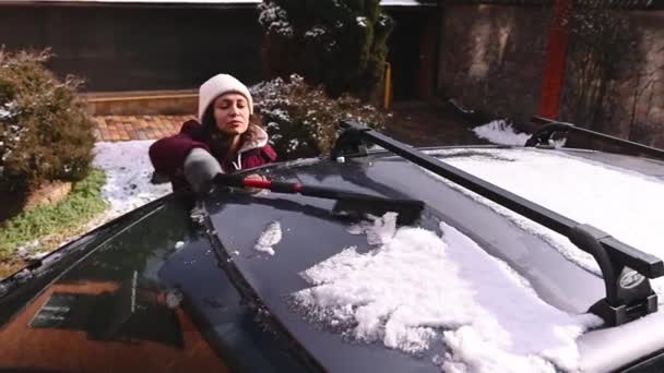 View Charming Woman Warm Clothes Female Driver Cleaning Snow Her — Video