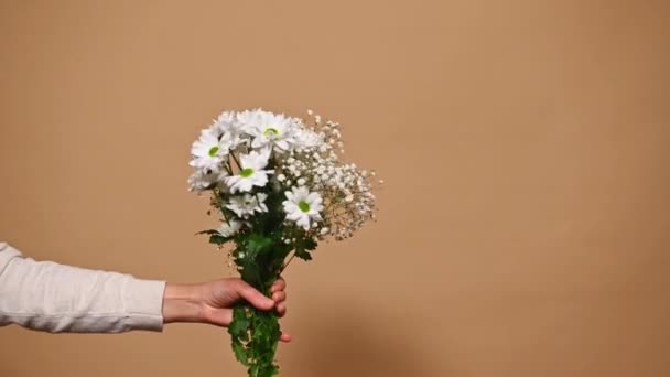 Язок Жіночої Руки Тримає Бежевому Фоні Милий Весняний Букет Хризантеми — стокове відео
