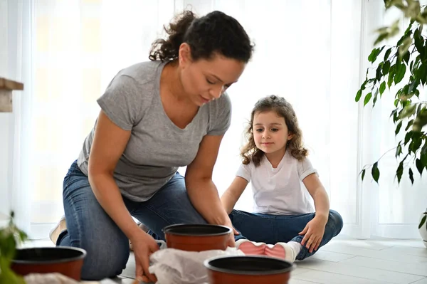 Selective focus: mom and daughter planting seeds and repotting houseplants at springtime in the home veranda