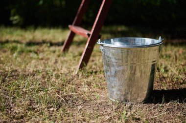 Still life with a metal galvanized bucket on the grass near the old stairs in the garden in the countryside. Harvest time. Gardening. Agriculture. Eco farming clipart