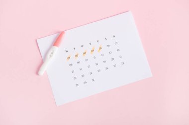 Evde hızlı hamilelik teşhisi. HCG ve idrar arasındaki biyokimyasal tepkimeye sahip mürekkep jeti test kitlerinin beyaz takvimdeki iki çubukta son adet tarihleriyle birlikte görünmesi