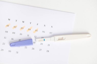 Üst düzey mürekkep püskürtme gebelik testi. Beyaz takvimde iki ölçü ve geçen günlerde işaretlenmiş. Yumurtlama ve doğurgan tarihlerin hesaplanması kesin implantasyon, doğum planlaması.