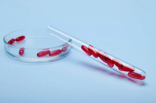 Red translucent gelatin capsules with fat-soluble vitamin E, inside a test tube and Petri dish, isolated on blue background. Healthcare and medicine concept. Science. Pharm business and industry.