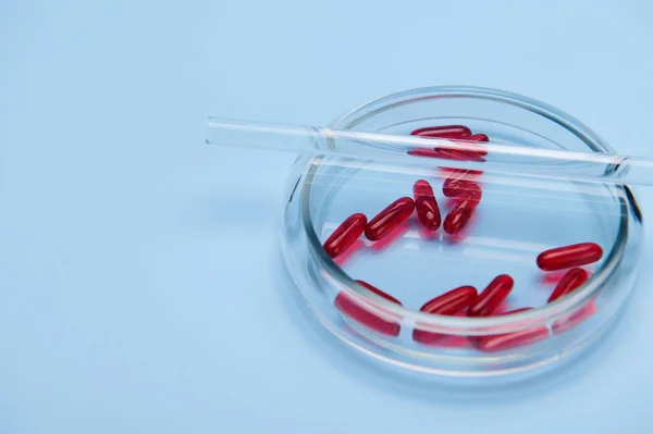 Horizontal photo on blue background of lab stick on petri dish with fat-soluble vitamin E gelatin capsules. Clinical research. Pharmacology. Pharmaceutical industry. Medicines and prescription pills