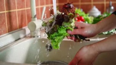 Yavaş çekimde ev hanımlarının elleri lavaboda akan suyun altında yeşillikleri ve salata yapraklarını yıkıyor. Mutfakta taze taze organik sebzelerle sağlıklı salata pişirmek.