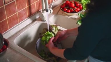 Hamile bir kadının yeşillikleri yıkaması, akan suyun altından salata yapraklarını temizlemesi, sağlıklı yemek pişirmesi. Mutfak tezgahında organik sebzeler. Hamilelik süresince sağlıklı beslenme