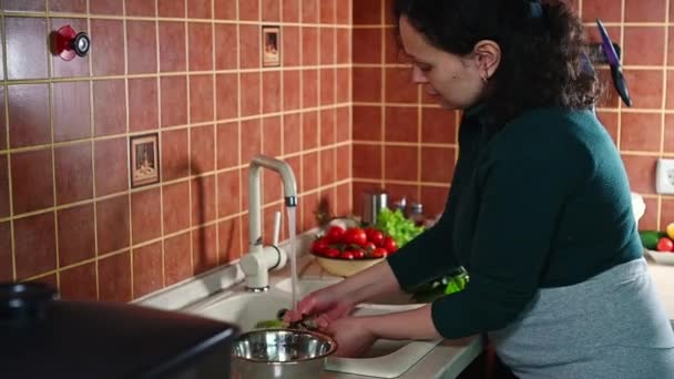 Latinamerikansk Gravid Kvinna Tvättar Spenatblad Och Grönsaker Kranen Diskhon Hälsosam — Stockvideo
