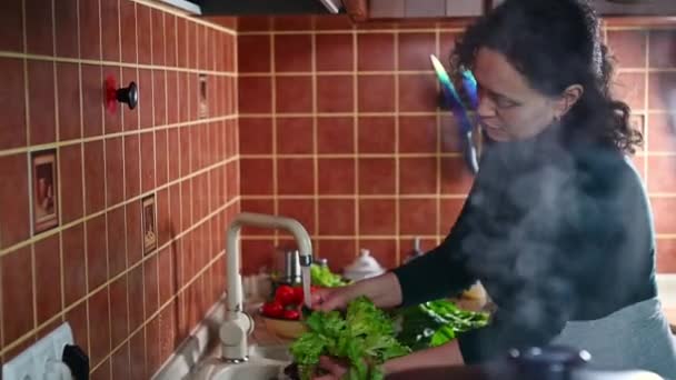 Multiethnic Pregnant Woman Washes Spinach Lettuce Leaves Tap Home Kitchen — Stock Video