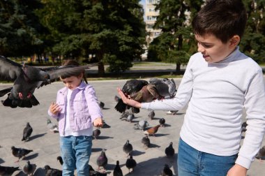 Çocuk şehir meydanında elinde güvercinlerle mutlu bir hafta sonu kuşlarını beslemekten zevk alıyor. - Evet. Çocuklar dışarıda güvercin besliyor. - İnsanlar. Doğa. Boş zaman aktivitesi. Hayvanlarla ilgilenin.