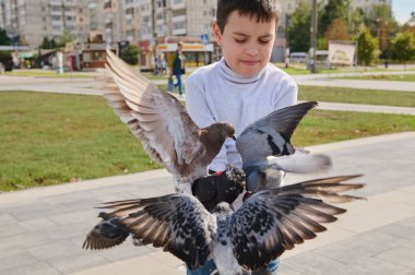 Bir çocuğun ellerine uçan güvercin sürüsünün seçici odağı onları kasaba meydanında tohumlarla besliyor. Aşk, şefkat, nezaket ve hayvanlara ilgi kavramı. İnsanlar ve doğa. Yaşam biçimi.