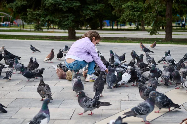 살짜리 광장에서 비둘기에게 먹이를 있습니다 시절부터 거리에 나가는 동물들에게 보살핌 — 스톡 사진