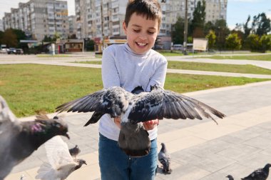 Sevimli beyaz çocuk, 10 yaşında, aile gezisi sırasında eğleniyor, uçan güvercin sürüsünü ellerine veriyor, kasaba meydanındaki hayvanlara bakıyor. Çocukluk, vahşi hayvanlar ve doğa.