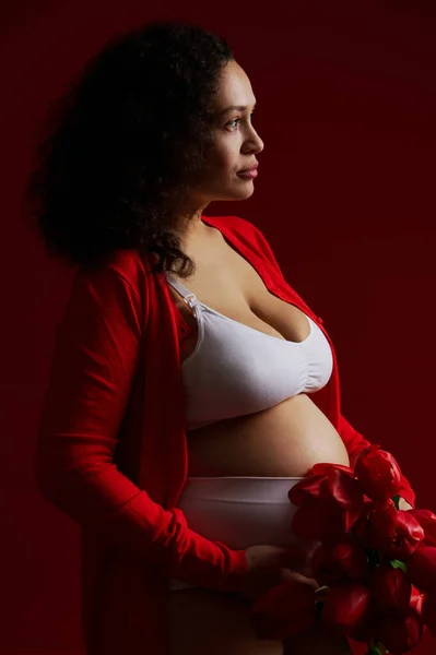 stock image Fashion portrait of a beautiful multi ethnic pregnant woman, wearing white underwear and red unbuttoned shirt, holding a bunch of red tulips, posing bare belly, standing side to a dark red background