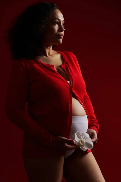 Latynoska Etniczna Kobieta Ciemnowłosa Oczekująca Matka Czerwonej Koszuli Trzymająca Biały — Zdjęcie stockowe