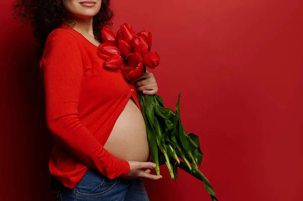 Close-up pregnant belly with stretch marks of a gravid woman, expectant mother posing with red tulips on isolated background. Body positivity. Sensuality. Pregnancy. Maternity. Happy Mothers Day