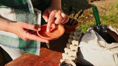 Seçici odaklanma. Amatör çiftçi, gübrelenmiş kara toprağa ekmeden önce domates tohumlarını bir tabakta sınıflandırıyor. Gündüz vakti. Bahar çiftçiliği ve bahçıvanlık kavramı. Tarım. organik tarım gıda üretimi