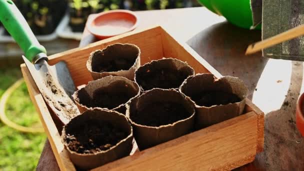 Close Wooden Crate Biodegradable Peat Pots Full Fertilized Black Soil — Stock Video