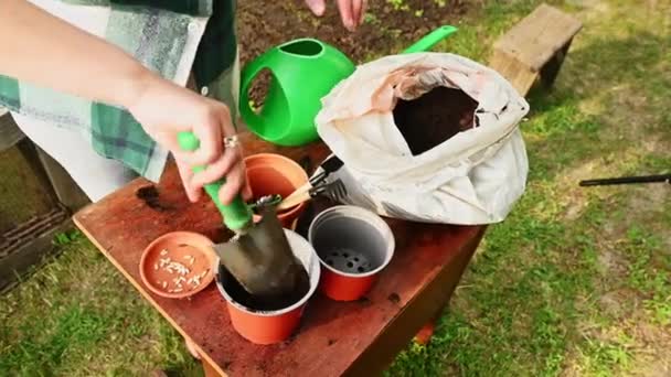 Mujer Agricultora Vista Superior Usando Pala Jardín Pone Poco Tierra — Vídeo de stock