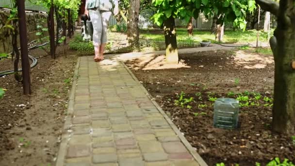 Kesik Manzara Kadın Çiftçi Amatör Bahçıvan Bahçesinde Çıplak Ayakla Yürüyen — Stok video