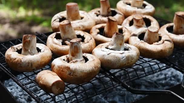 Still Life Brown Champignon Portobello Mushrooms Being Cooked Charcoal Grill — Stock Video