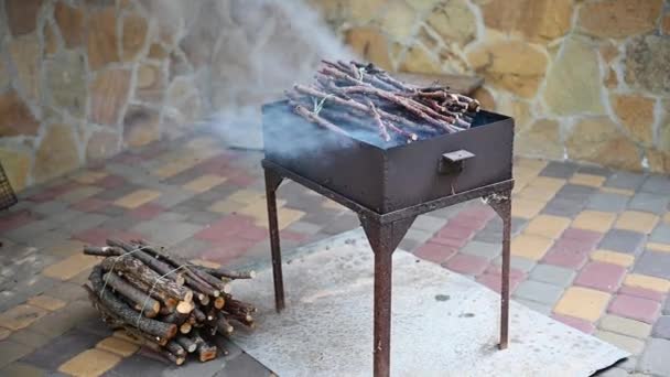 Nature Morte Fumée Provenant Feu Barbecue Chaud Avec Des Branches — Video