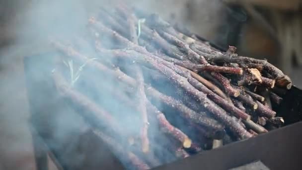 在烤肉烤架上 用篝火将捆绑的树枝连在一起生火生火 夏天冷静下来的概念 烤肉派对 静谧的生活 — 图库视频影像