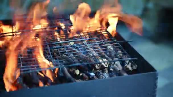 Martwa Natura Płonącymi Gałęziami Grillu Przygotowanie Jedzenia Otwartym Powietrzu Podwórku — Wideo stockowe
