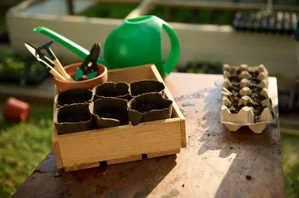 stock image Close-up disposable peat pots in wooden box and cassettes with sown seeds, next to a green watering can and gardening tools on rustic wooden table in country garden. Gardening Agriculture Eco farming