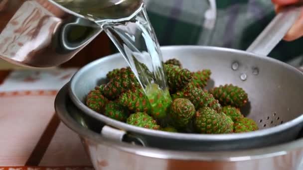 主婦のクローズアップは 採れたての緑の松のコーンをザルにきれいな水で洗います 缶詰だ 伝統的なシベリアのレシピに従ってジャムを準備します 冬のための健康的な治癒缶詰食品 — ストック動画