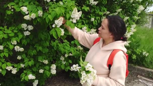 幸せな多民族妊娠中の女性は 晴れた春の日に田舎の環境で屋外で週末を楽しんで 白い香りのライラックの花の花束を収集します ライフスタイル レジャー活動 — ストック動画