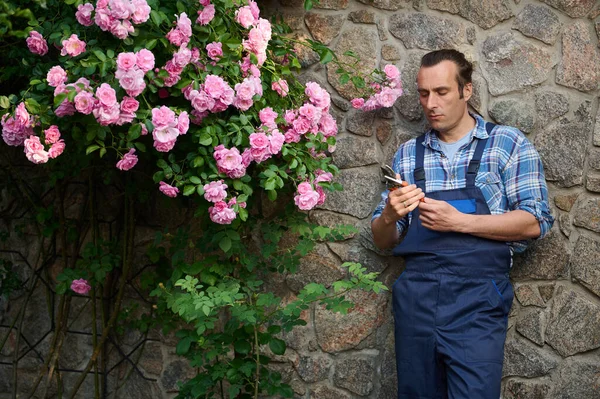 Jardinero Florista Masculino Traje Trabajo Jardinería Sostiene Tijeras Jardín Encuentra — Foto de Stock