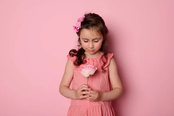 stock image Beautiful lovely pretty cute Caucasian child girl 5-6 years old, dressed in stylish pink dress with flowers on her hair, holding a rose flower, isolated over pink color background. Happy Mothers Day