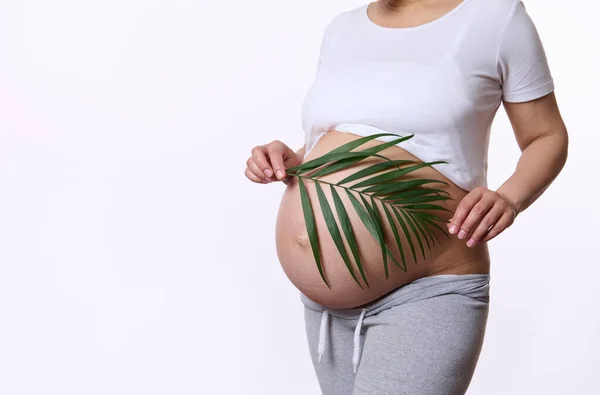 Midseksiyon Karnı Çıplak Hamile Bir Kadın Hamile Hamileliğinin Üçüncü Ayında — Stok fotoğraf