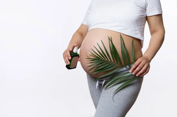 Eco Pregnancy Banner Copy Space Close Gravid Woman Holding Palm — Stock Photo, Image