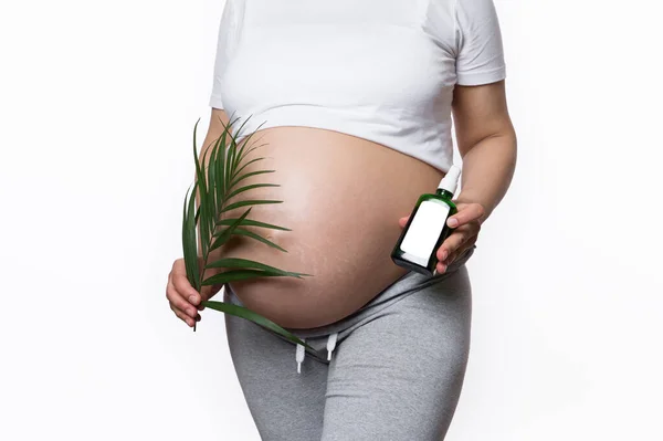 Beautiful Pregnant Belly Close Gravid Woman Holding Exotic Palm Leaf — Stock Photo, Image