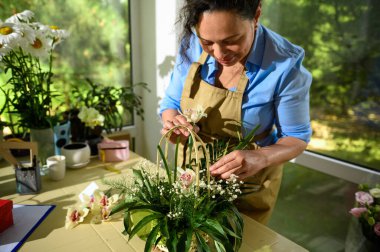 Çiçekçi, çiçek tasarım stüdyosunda çiçek yaprakları ve gypthe çiçekleri düzenlerken hasır sepetin içindeki ıslanmış bir köpüğe bir orkide çiçeği yerleştirir. Yaratıcı insanlar ve küçük işletmeler