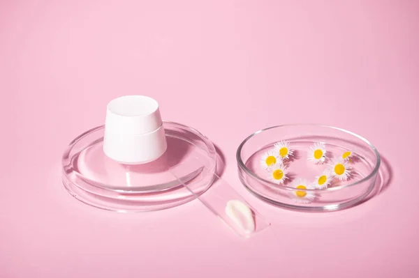 stock image Still life with white mockup jar, chamomile flowers in petri dish and moisturizer on lab glass, isolated on pink studio background. Copy ad space. Natural cosmetics with organic natural ingredients